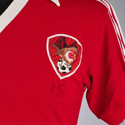 bristol_city_1979_umbro_shirt_c.jpg