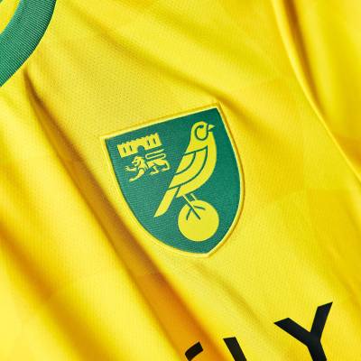 norwich_city_24_25_joma_home_kit_f.jpg