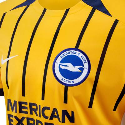 brighton_hove_albion_24_25_nike_away_kit_e2.jpg