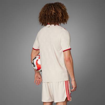 bayern_munich_24_25_adidas_third_kit_d1.jpg