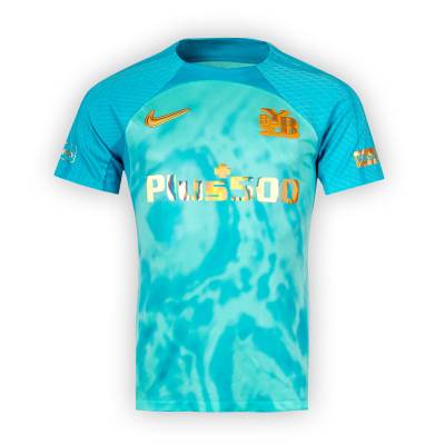 bsc_young_boys_24_25_nike_third_kit_f1.jpg