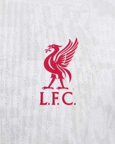 liverpool_24_25_nike_third_kit_d4.jpeg